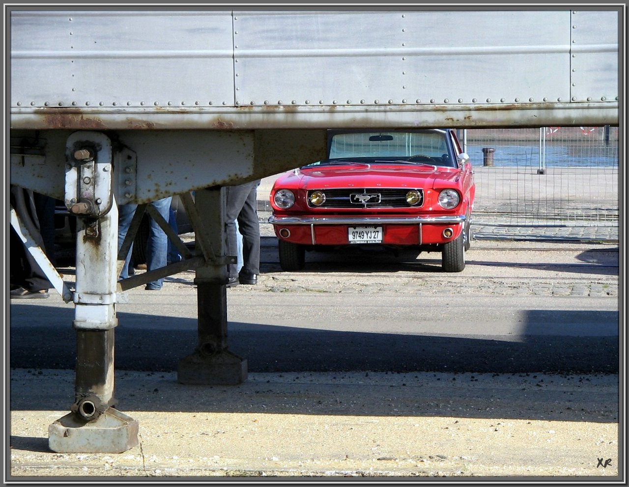 Mustang-9.jpg